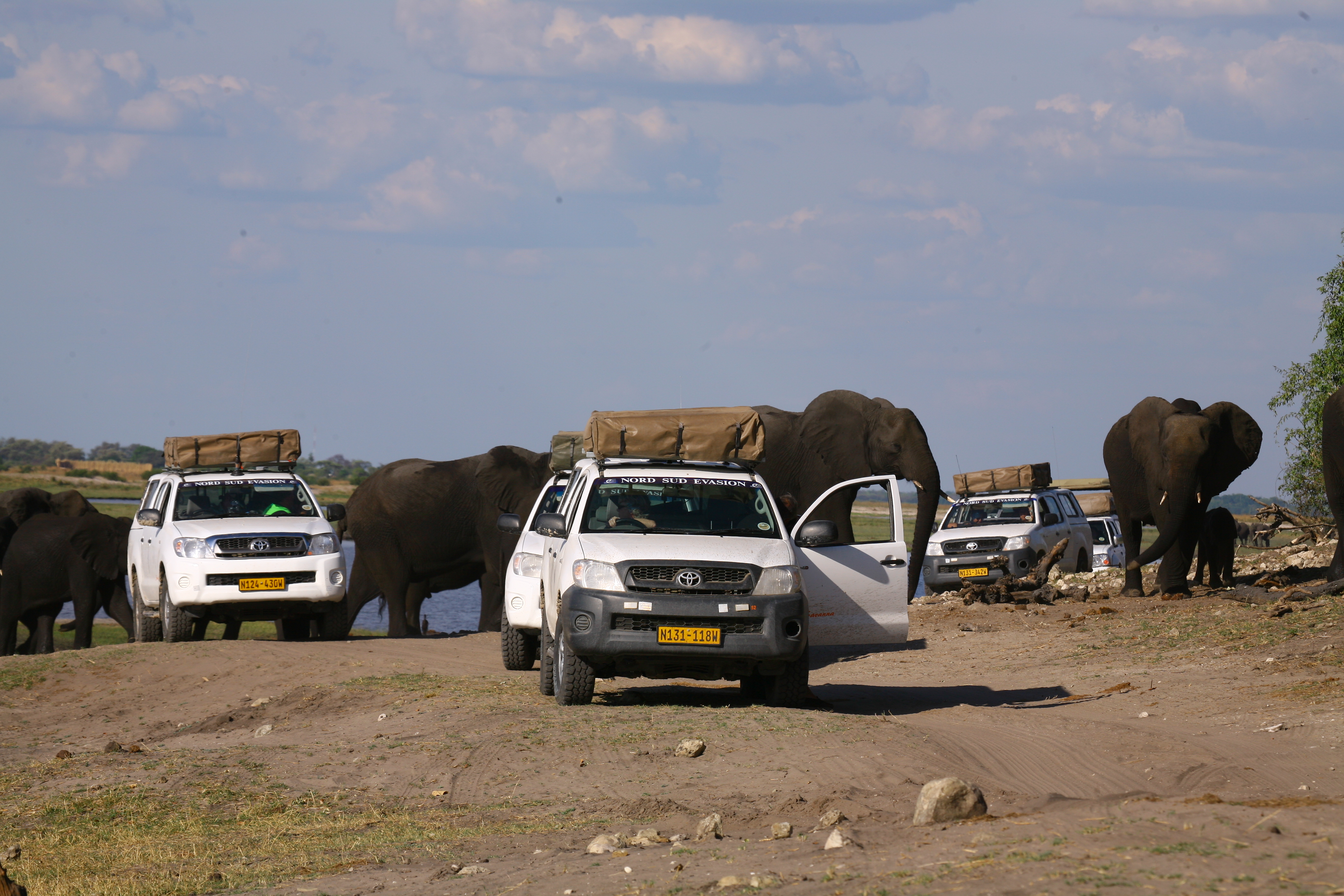 4x4 au milieu d'un groupe d'éléphants pacifiques pendant le raid 4x4 Okawango Bostwana, novembre 2020